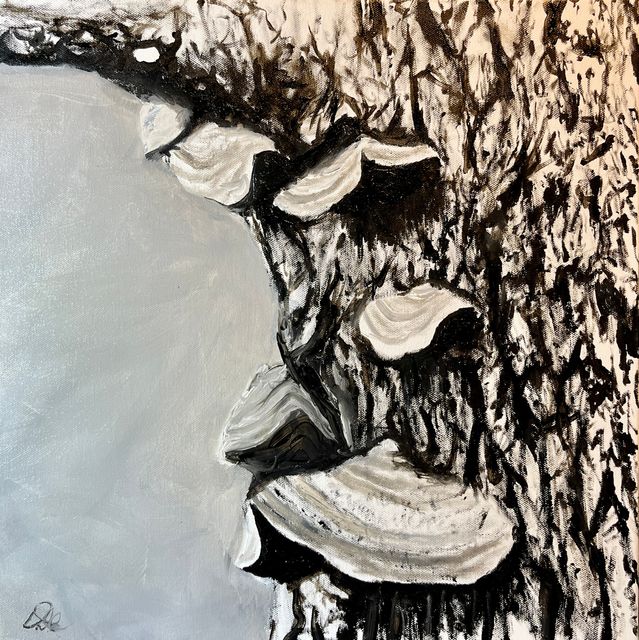 Turkey Tail, Oil on Gallery Canvas by Dallas Ebersviller
